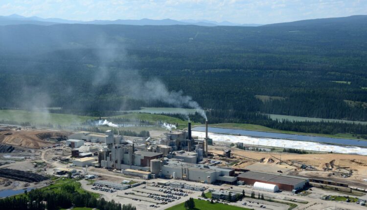 Hinton Pulp Mill Acquisition Supports Growth in Mondi’s Americas Paper Bags Business.